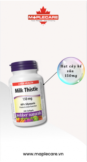 Viên uống bảo vệ hỗ trợ chức năng gan Milk Thistle 60 Silymarin 150mg