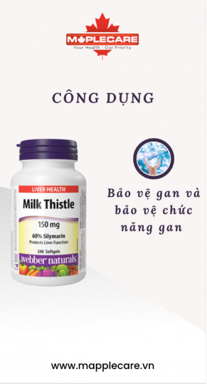 Viên uống bảo vệ hỗ trợ chức năng gan Milk Thistle 60 Silymarin 150mg