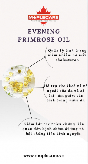 Viên uống bổ sung Omega 6, hỗ trợ duy trì sức khỏe Evening Primrose Oil 500mg 