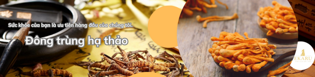 Đông trùng hạ thảo