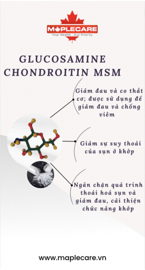 Viên uống giảm đau khớp, sụn Glucosamine Chondroitin MSM 500/400/400mg