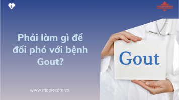 Phải làm gì để đối phó với bệnh Gout - Maple Care