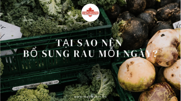 Tại sao nên bổ sung rau mỗi ngày - Maple Care