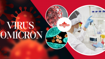 Virus Omicron và các biện pháp phòng chống Omicron - Maple Care