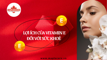 Vitamin E có tác dụng như thế nào đối với sức khoẻ - Maple Care