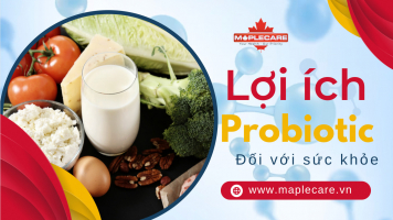 Probiotic có lợi như thế nào đối với cơ thể - Maple Care