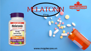 Melatonin là gì ? Uống Melatonin có hại hay không ? - Maple Care