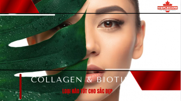 Collagen hay Biotin - Nên dùng loại nào tốt cho sắc đẹp? - Maple Care