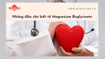 Những điều cần biết về Magnesium Bisglycinate - Maple Care