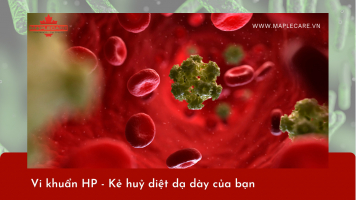 Vi khuẩn HP - kẻ huỷ diệt dạ dày của bạn